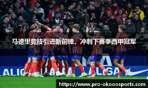 马德里竞技引进新前锋，冲刺下赛季西甲冠军